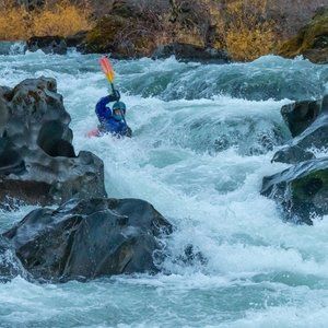 Meet your Posher, Eli